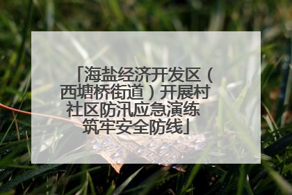 海盐经济开发区（西塘桥街道）开展村社区防汛应急演练 筑牢安全防线