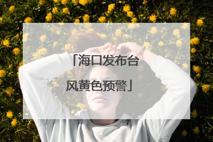 海口发布台风黄色预警