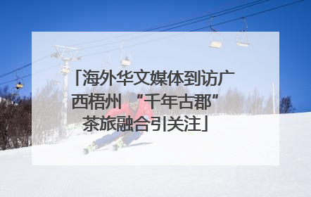 海外华文媒体到访广西梧州 “千年古郡”茶旅融合引关注