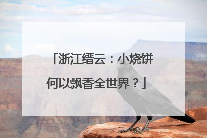 浙江缙云：小烧饼何以飘香全世界？