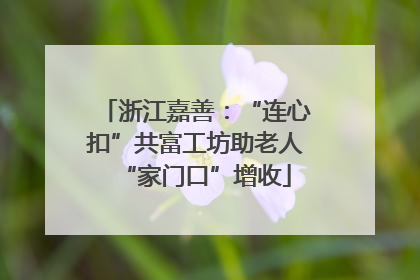 浙江嘉善：“连心扣”共富工坊助老人“家门口”增收