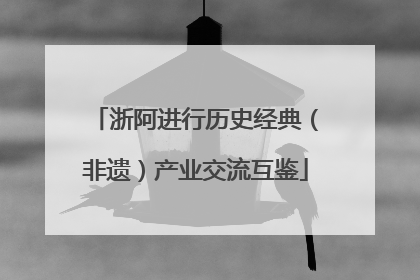 浙阿进行历史经典（非遗）产业交流互鉴