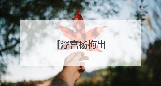 浮宫杨梅出口季开启