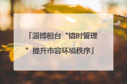 淄博桓台“错时管理”提升市容环境秩序