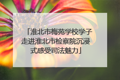 淮北市梅苑学校学子走进淮北市检察院沉浸式感受司法魅力