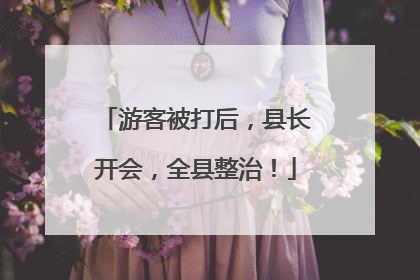 游客被打后，县长开会，全县整治！