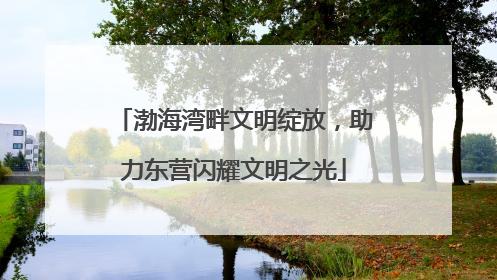 渤海湾畔文明绽放，助力东营闪耀文明之光