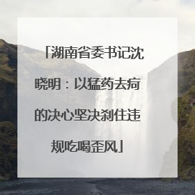 湖南省委书记沈晓明：以猛药去疴的决心坚决刹住违规吃喝歪风