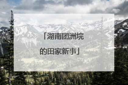 湖南团洲垸的田家新事
