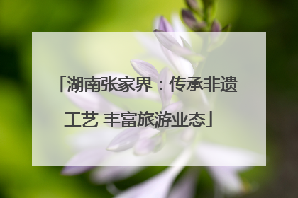 湖南张家界：传承非遗工艺 丰富旅游业态