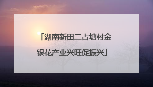 湖南新田三占塘村金银花产业兴旺促振兴