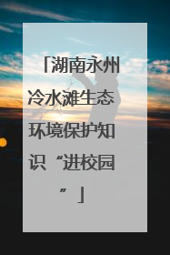 湖南永州冷水滩生态环境保护知识“进校园”