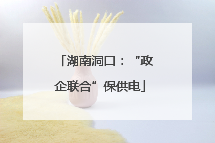 湖南洞口：“政企联合”保供电