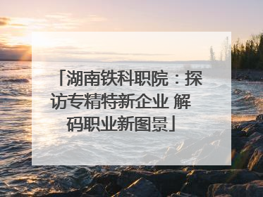 湖南铁科职院：探访专精特新企业 解码职业新图景