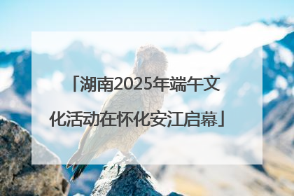 湖南2025年端午文化活动在怀化安江启幕