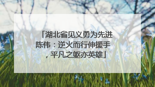 湖北省见义勇为先进陈伟：逆火而行伸援手，平凡之躯亦英雄