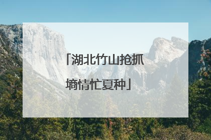 湖北竹山抢抓墒情忙夏种
