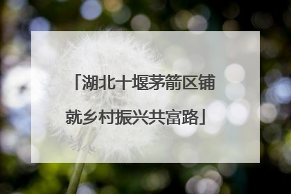 湖北十堰茅箭区铺就乡村振兴共富路