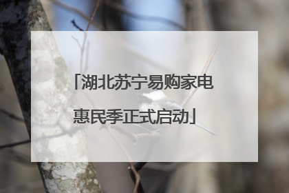 湖北苏宁易购家电惠民季正式启动
