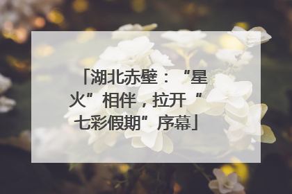 湖北赤壁：“星火”相伴，拉开“七彩假期”序幕