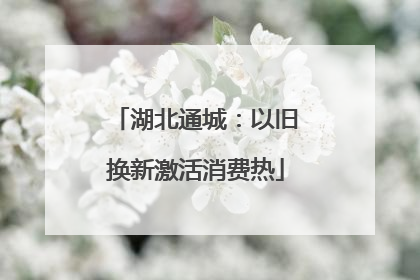 湖北通城：以旧换新激活消费热
