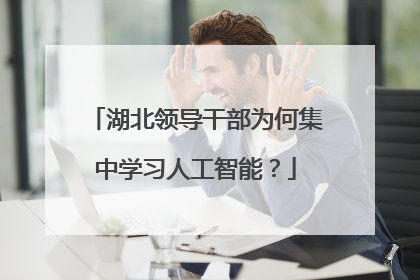 湖北领导干部为何集中学习人工智能？