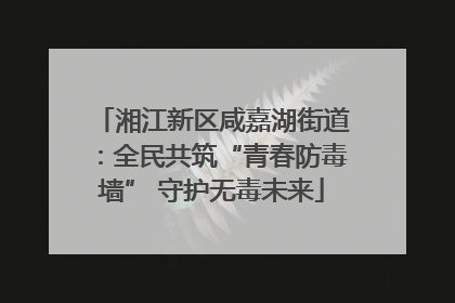 湘江新区咸嘉湖街道：全民共筑“青春防毒墙” 守护无毒未来