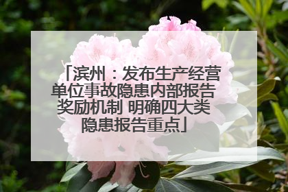 滨州：发布生产经营单位事故隐患内部报告奖励机制 明确四大类隐患报告重点