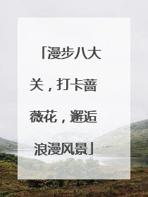 漫步八大关，打卡蔷薇花，邂逅浪漫风景