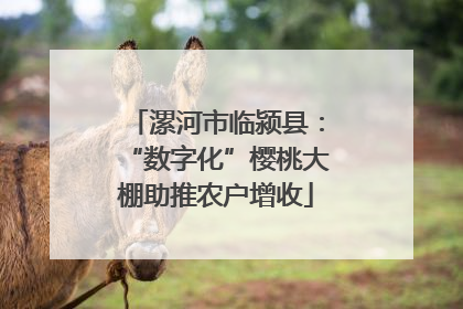 漯河市临颍县：“数字化”樱桃大棚助推农户增收