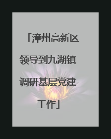 漳州高新区领导到九湖镇调研基层党建工作