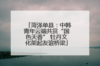 菏泽单县：中韩青年云端共赏“国色天香” 牡丹文化架起友谊桥梁