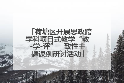 荷塘区开展思政跨学科项目式教学“教-学-评”一致性主题课例研讨活动