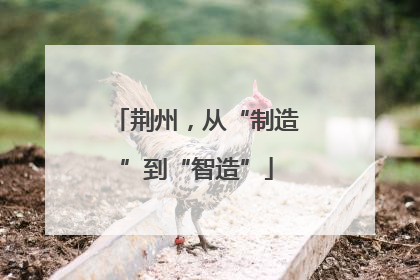 荆州，从“制造”到“智造”