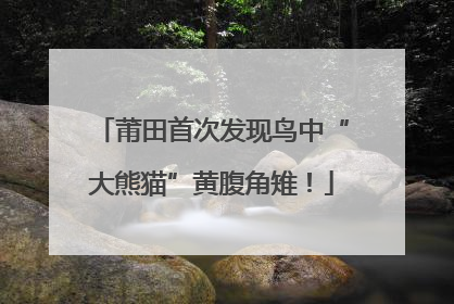 莆田首次发现鸟中“大熊猫”黄腹角雉！