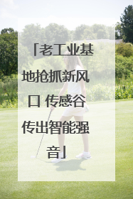 老工业基地抢抓新风口 传感谷传出智能强音