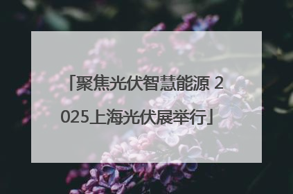 聚焦光伏智慧能源 2025上海光伏展举行