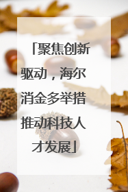 聚焦创新驱动，海尔消金多举措推动科技人才发展
