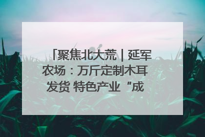 聚焦北大荒｜延军农场：万斤定制木耳发货 特色产业“成绩单”亮眼