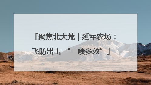 聚焦北大荒｜延军农场：飞防出击 “一喷多效”