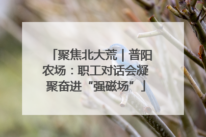 聚焦北大荒｜普阳农场：职工对话会凝聚奋进“强磁场”