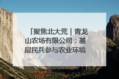 聚焦北大荒｜青龙山农场有限公司：基层民兵参与农业环境综合治理显效