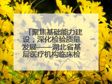 聚焦基础能力建设，深化检验质量发展——湖北省基层医疗机构临床检验质量控制培训班（孝感站）成功举办