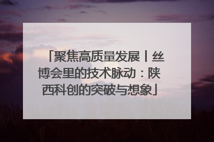 聚焦高质量发展丨丝博会里的技术脉动：陕西科创的突破与想象
