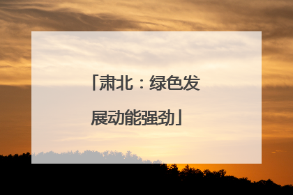 肃北：绿色发展动能强劲