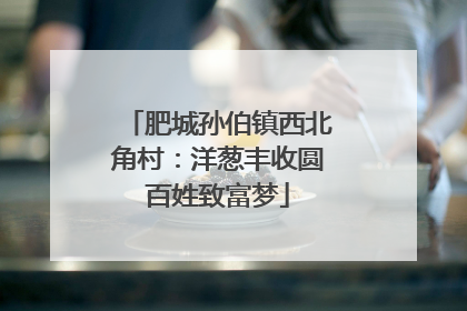肥城孙伯镇西北角村：洋葱丰收圆百姓致富梦
