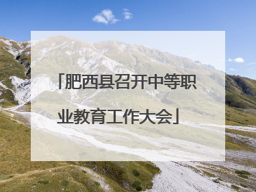 肥西县召开中等职业教育工作大会