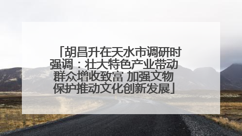 胡昌升在天水市调研时强调：壮大特色产业带动群众增收致富 加强文物保护推动文化创新发展