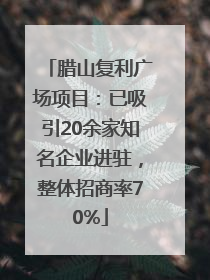 腊山复利广场项目：已吸引20余家知名企业进驻，整体招商率70%