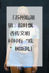 苏州临湖镇：粽叶飘香传文明 村村有“戏”树新风